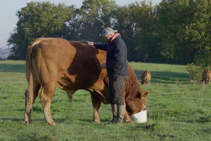 Rural : Édouard Bergeon au cœur du monde agricole