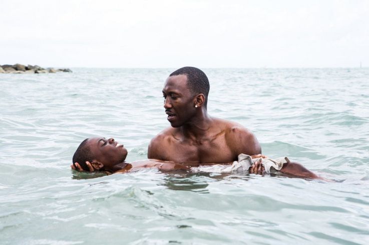 Moonlight : Mahershala Ali, Alex R. Hibbert