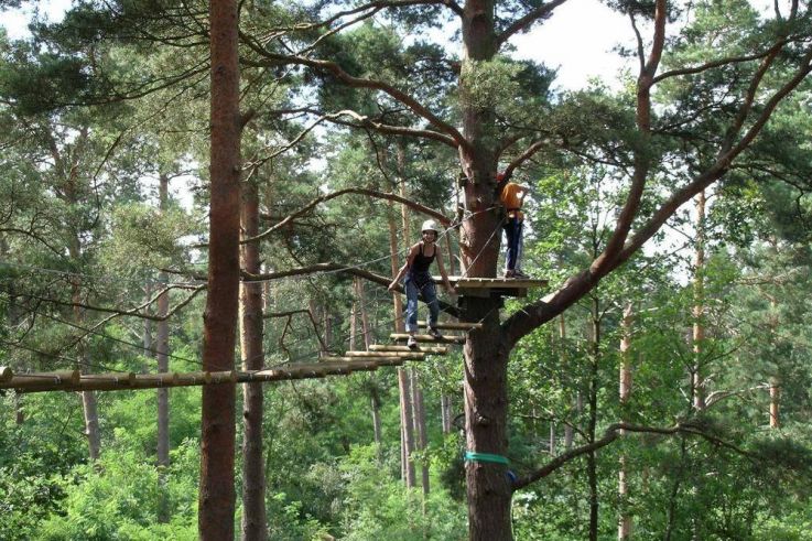 Atout Branches le parcours d'accrobranche à Milly la Forêt