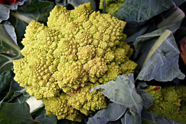 Vitamine K : un allié de poids dans la lutte contre le coronavirus ?