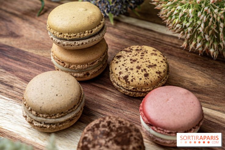 Pierre Hermé Macaron