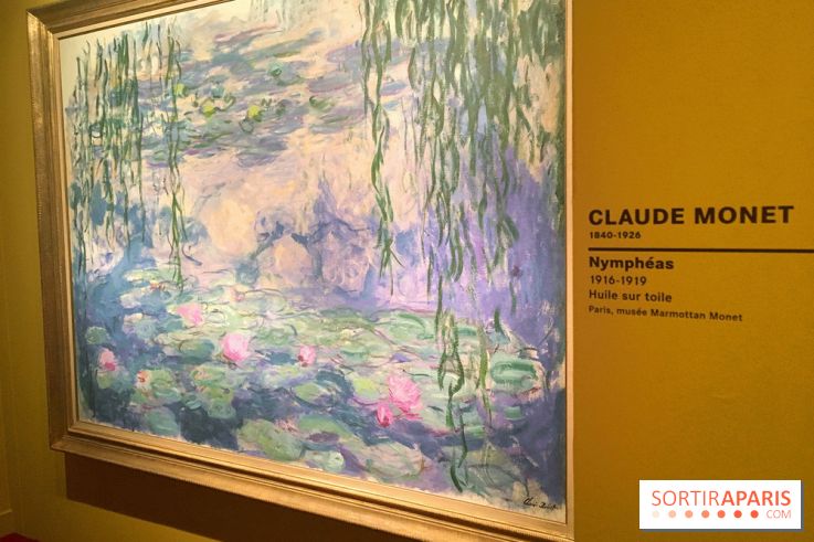 Monet Collectionneur, les photos de l'exposition 