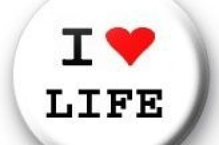 Shopping, Noël, Mode, Vêtements, Cadeaux