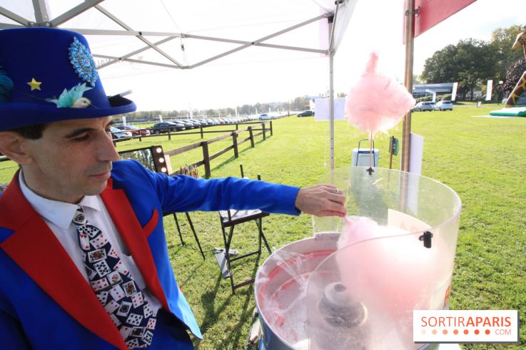 Ventes de voitures d'occasion à 'lhippodrome de St Cloud