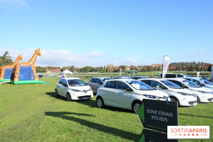 Ventes de voitures d'occasion à 'lhippodrome de St Cloud
