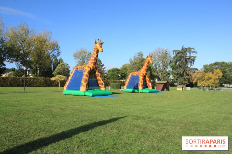 Ventes de voitures d'occasion à 'lhippodrome de St Cloud