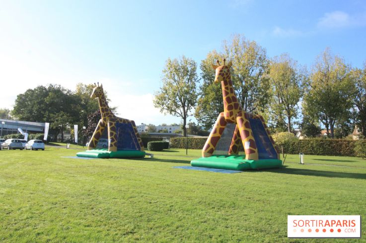 Ventes de voitures d'occasion à 'lhippodrome de St Cloud