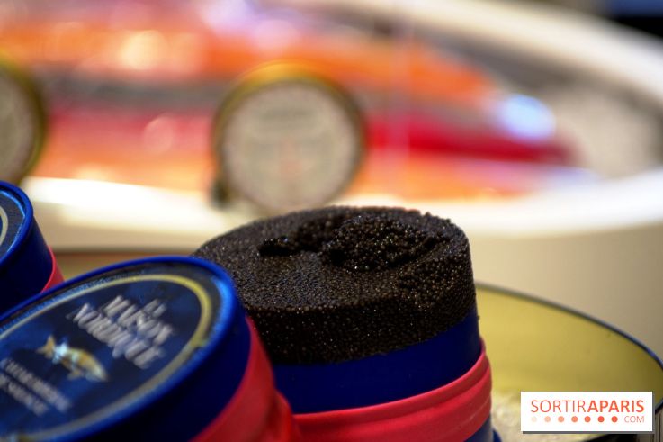 La Maison Nordique x Marin Montagut