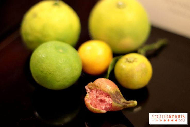 Le Limon : le nouveau resto de Juan Arbealez, les photos