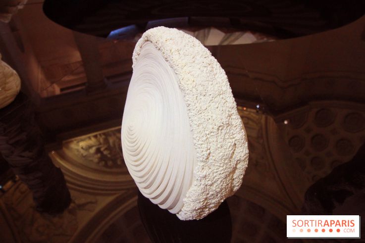 Un monde de plis à la chapelle Expiatoire