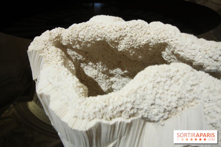 Un monde de plis à la chapelle Expiatoire