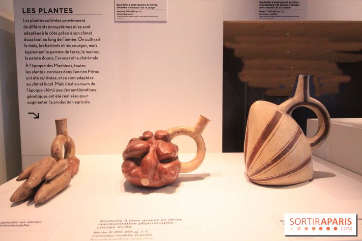Le Pérou avant les Incas, l'expo au Musée du Quai Branly 