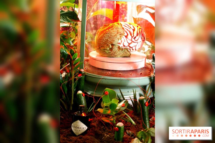 Chambers of the Curious, édition 2017, à l'Hôtel Particulier Montmartre