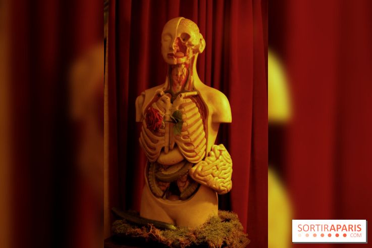 Chambers of the Curious, édition 2017, à l'Hôtel Particulier Montmartre