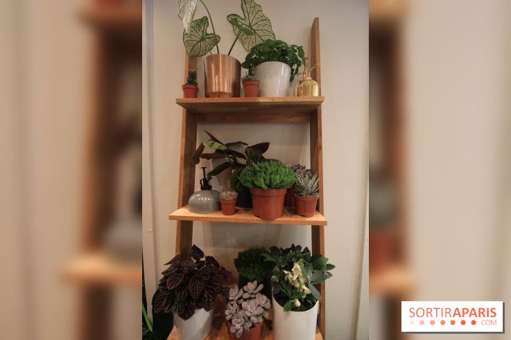 Le pop-up Store de Bergamotte