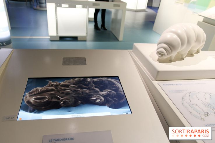 Froid à la Cité des Sciences