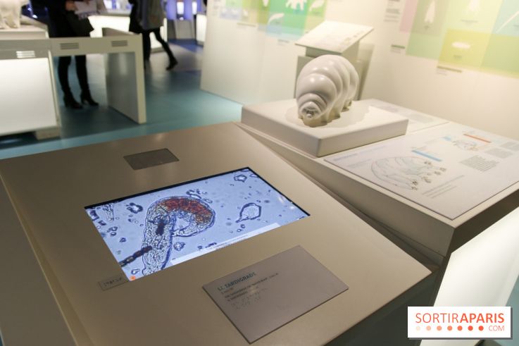 Froid à la Cité des Sciences