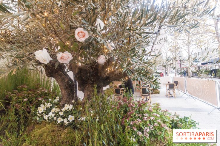 Le 86Champs, le nouveau salon de thé de Pierre Hermé