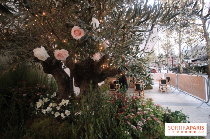 Le 86Champs, le nouveau salon de thé de Pierre Hermé