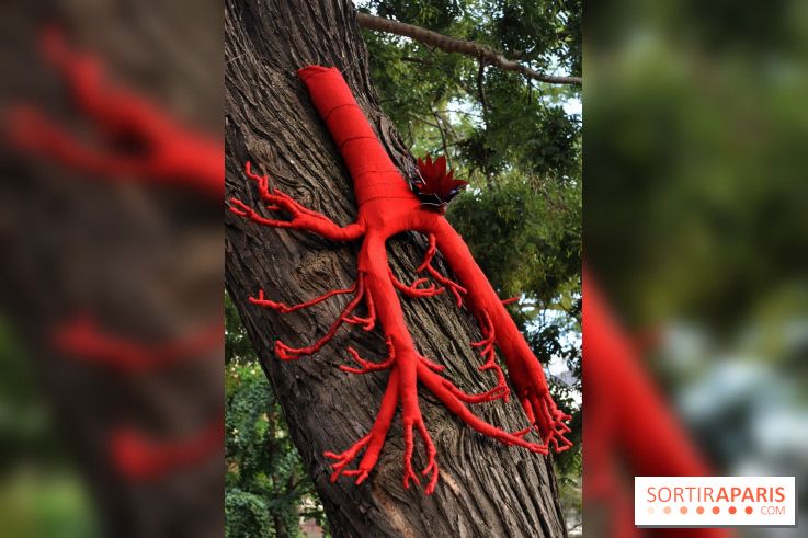 Marie BARBE - Fleur carnivore