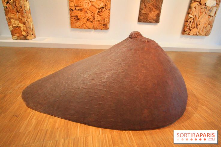 César, l'exposition au Centre Pompidou