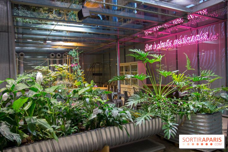 Patate, l'expo à la Cité des Sciences