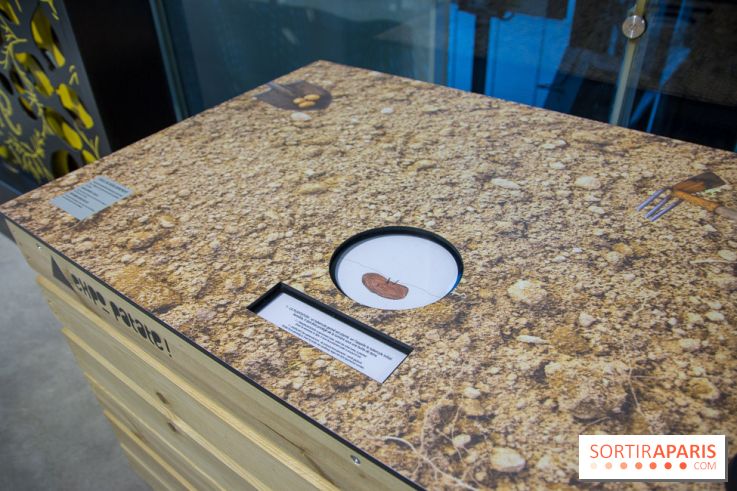 Patate, l'expo à la Cité des Sciences