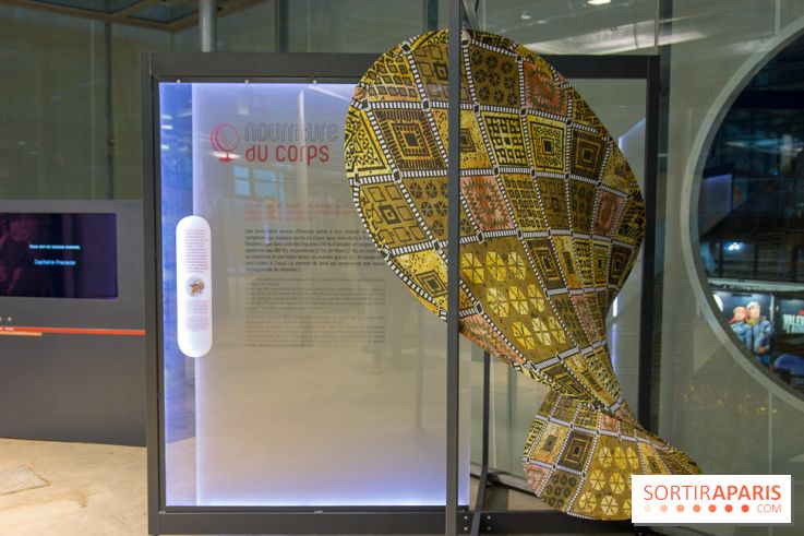 Patate, l'expo à la Cité des Sciences