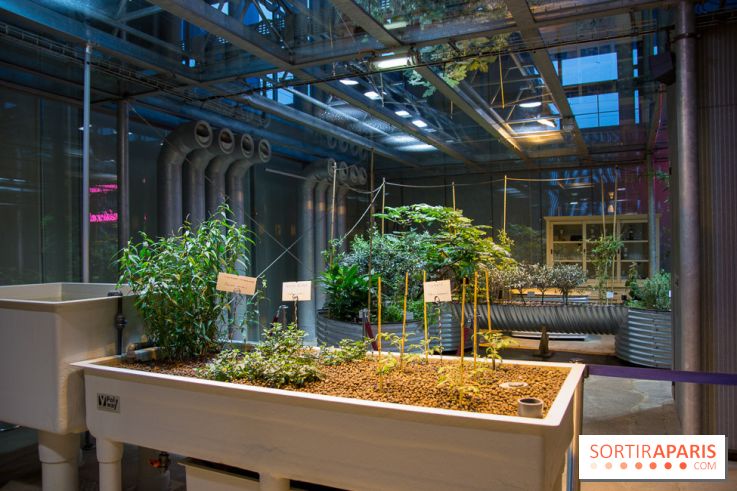 Patate, l'expo à la Cité des Sciences