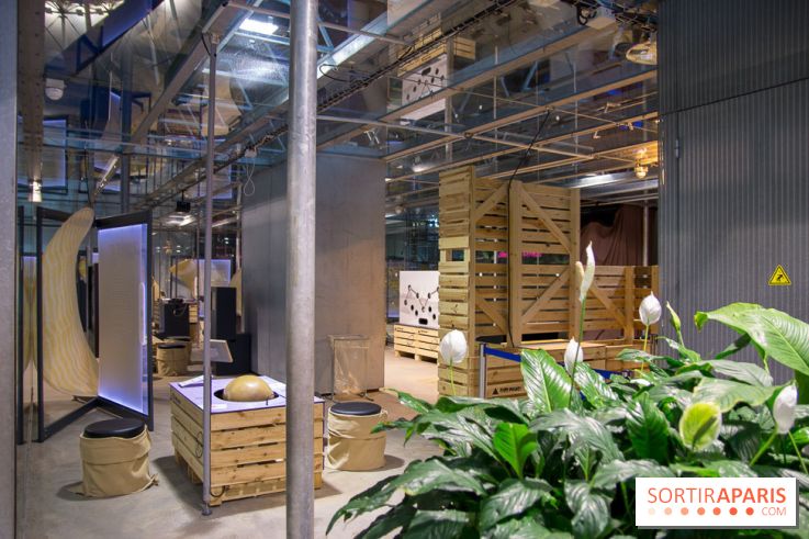 Patate, l'expo à la Cité des Sciences