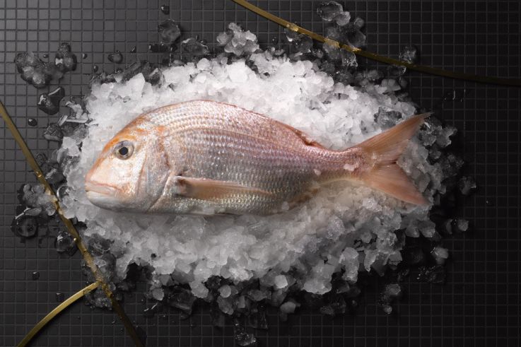 Le Printemps du Goût