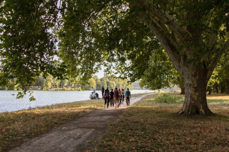 Coronavirus : peut-on encore se promener en forêt ?