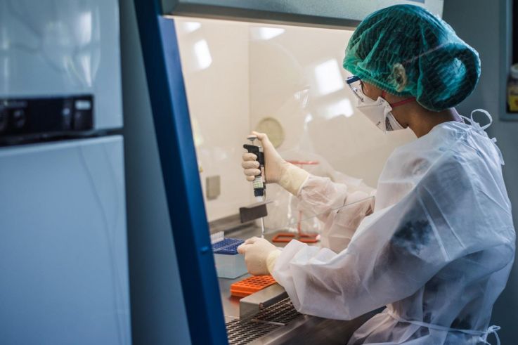 Coronavirus : deux millions de morts "très probables" selon l'OMS