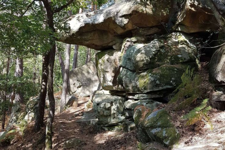 Une randonnée de Paris à Fontainebleau, le Rando'Talk Aventuriers d'Helloways
