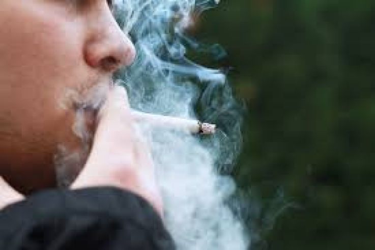 Légalisation du cannabis : une majorité de maires d'Île-de-France l'approuvent 