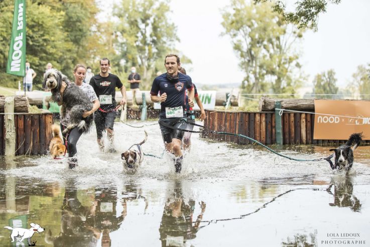 Woof Run 2021, l'évènement sportif pour les amoureux des chiens dans l'Oise