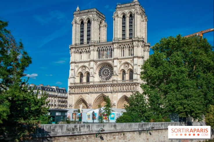 Parvis de Notre-Dame : les quatre projets de réaménagement dévoilés par la Mairie de Paris