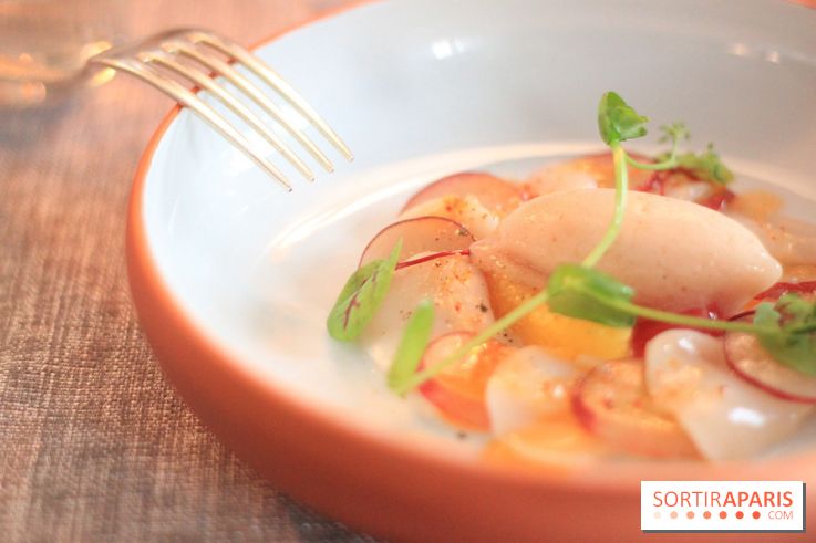 Les Tantes Jeannes : les photos