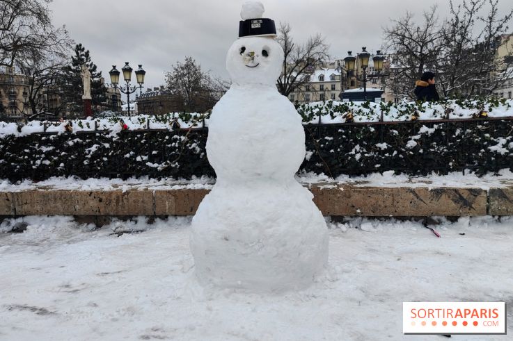 La Neige à Paris - fotor 1767798970463