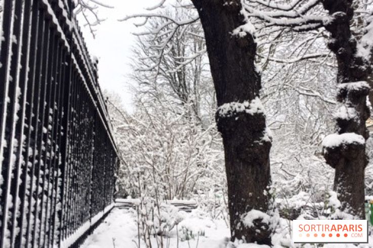 La Neige à Paris