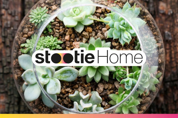 Lancement de Stootie home