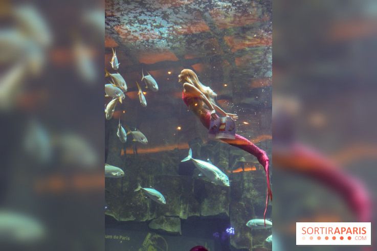 Les 60 ans de LEGO® à l'Aquarium de Paris