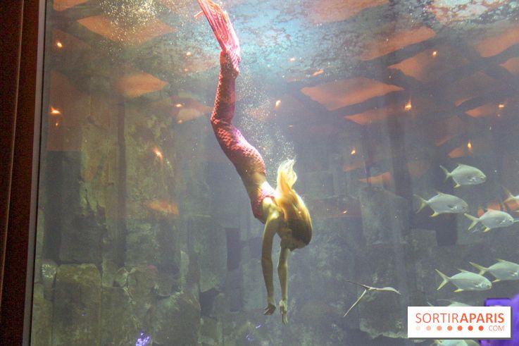 Les 60 ans de LEGO® à l'Aquarium de Paris