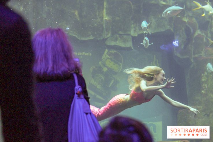 Les 60 ans de LEGO® à l'Aquarium de Paris