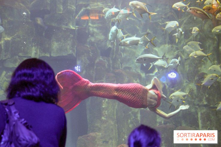 Les 60 ans de LEGO® à l'Aquarium de Paris
