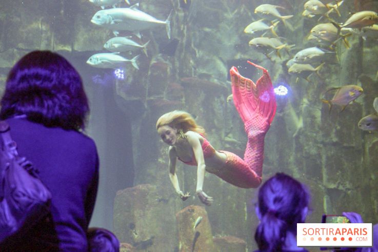 Les 60 ans de LEGO® à l'Aquarium de Paris