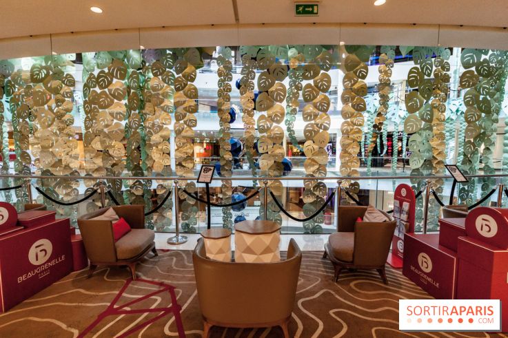 Exposition Monstera Dubia à Beaugrenelle