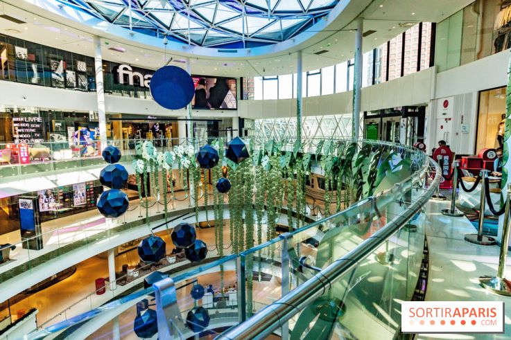 Exposition Monstera Dubia à Beaugrenelle