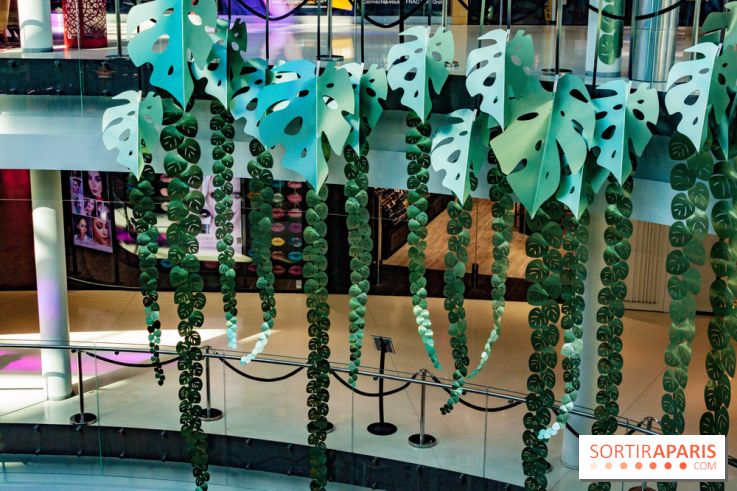 Exposition Monstera Dubia à Beaugrenelle