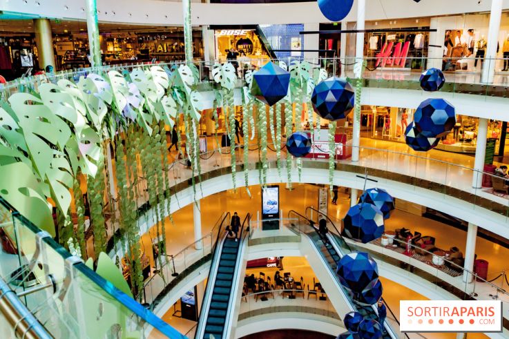 Exposition Monstera Dubia à Beaugrenelle